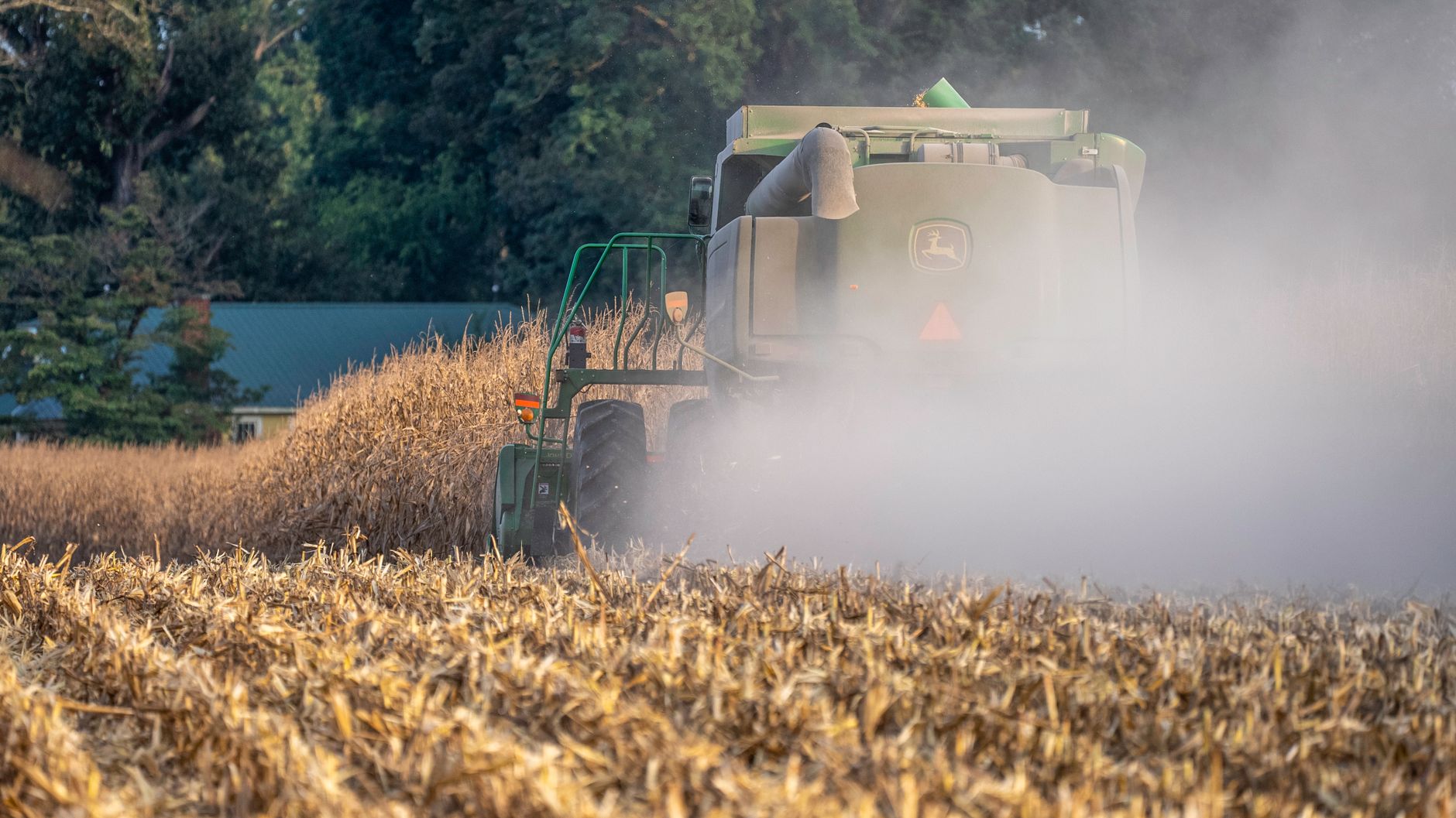 Combine harvester working in a cornfield, producing dust, rural setting.