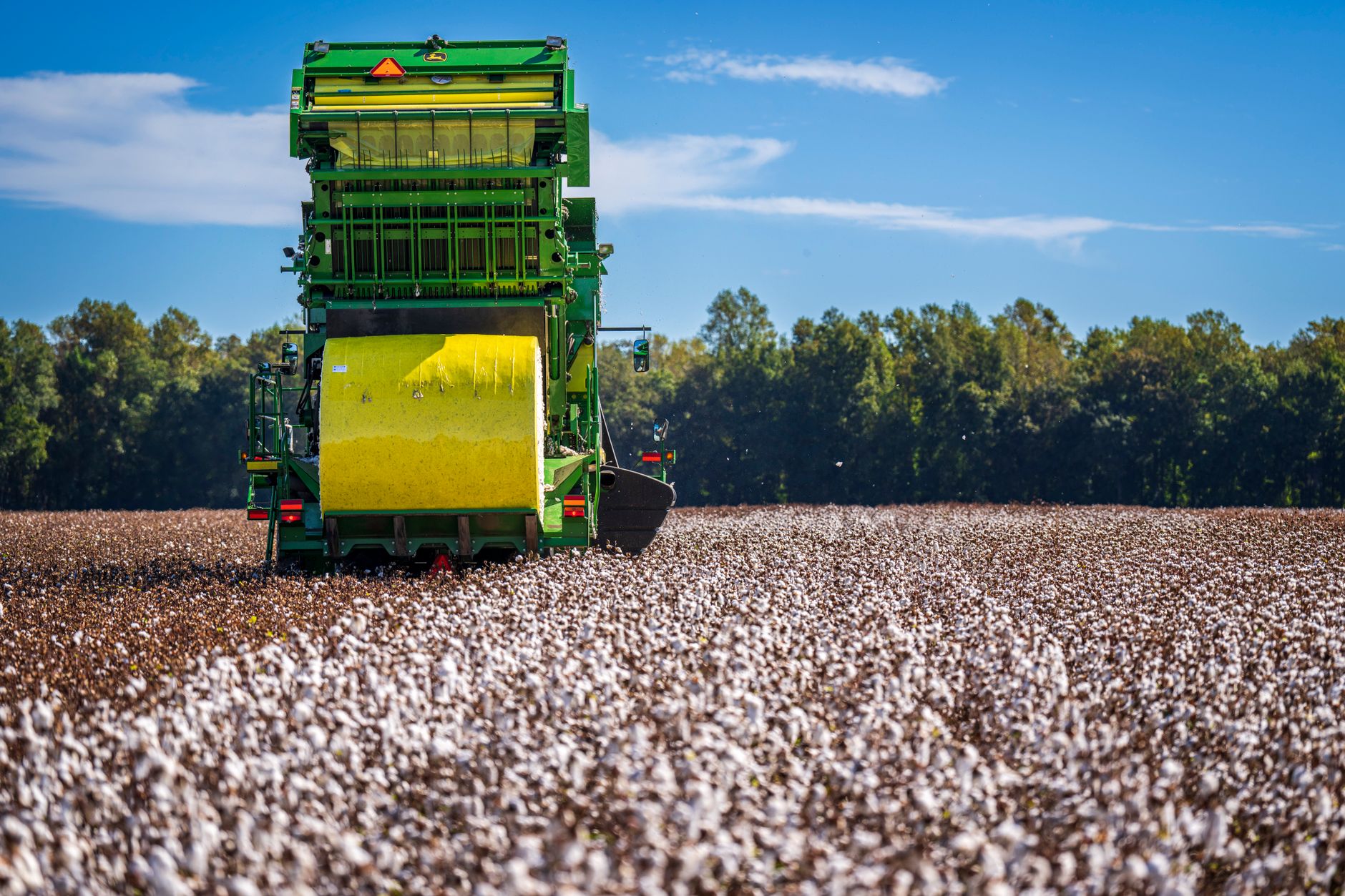 Green harvesting machine in a cotton field during a sunny day, capturing modern farming practices.