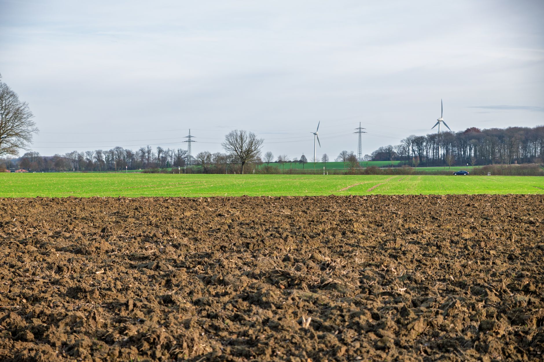 Expansive farmland with wind turbines on a clear day, highlighting renewable energy.