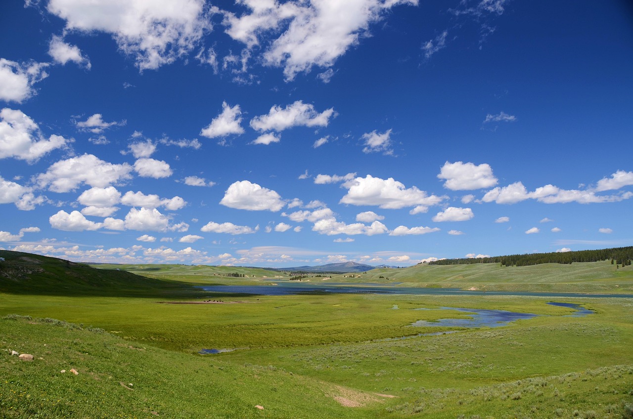 valley, field, landscape, meadow, scenery, scenic, nature, hayden valley, yellowstone national park, wyoming, usa, valley, field, field, field, field, field, scenery