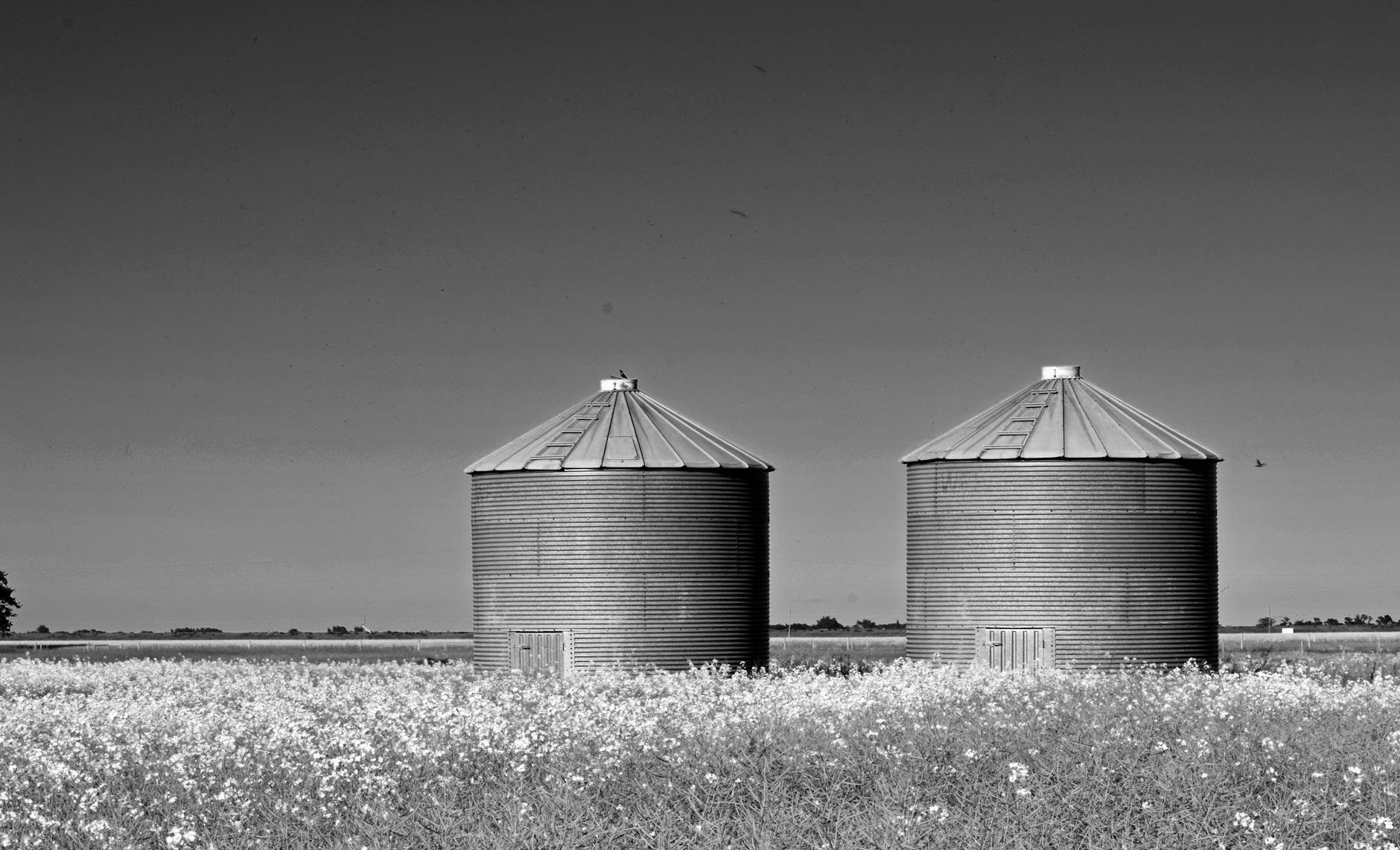 Silo de armazenamento de grãos em fazenda brasileira