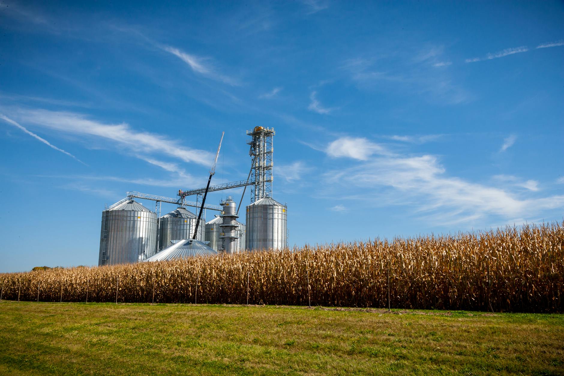 Silos de armazenamento de grãos em fazenda rural