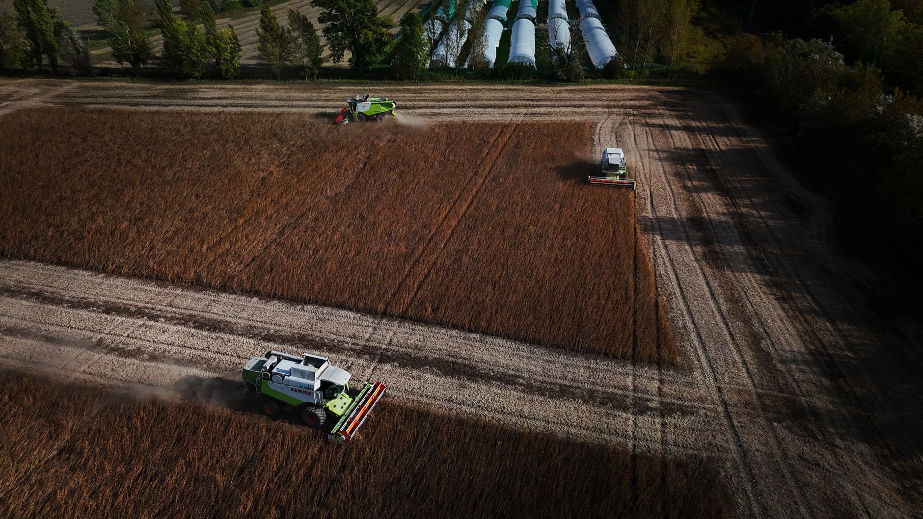 Tela de negociação de commodities agrícolas com gráficos de preços