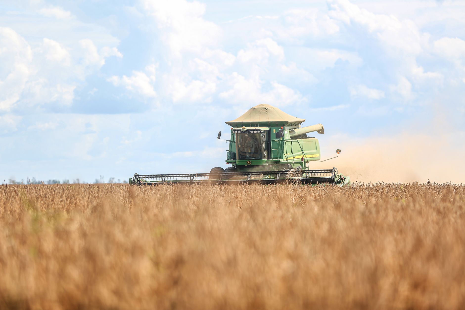 Plantação de soja sendo colhida no Brasil