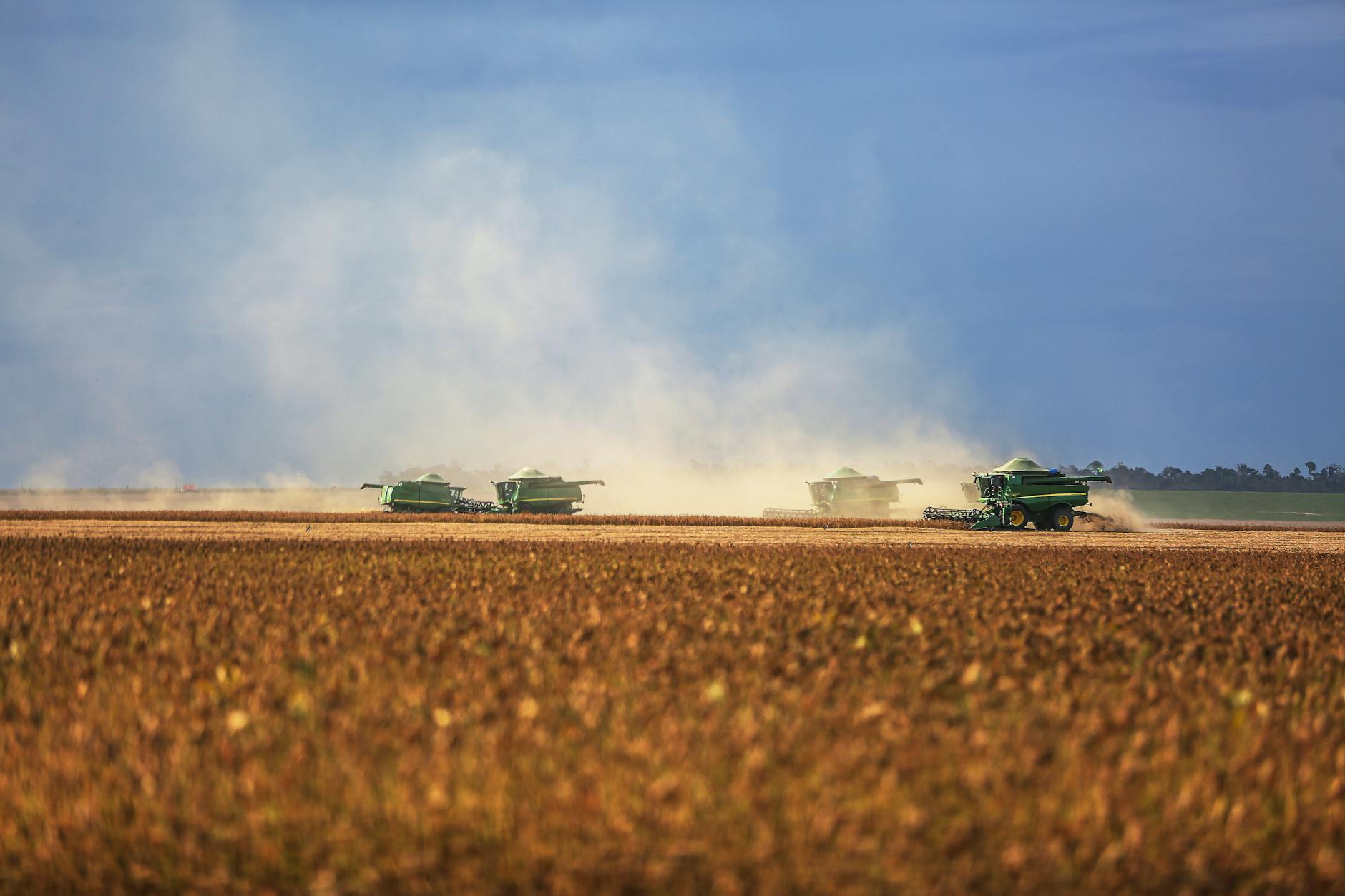 Plantação de arroz em Mato Grosso do Sul, Brasil