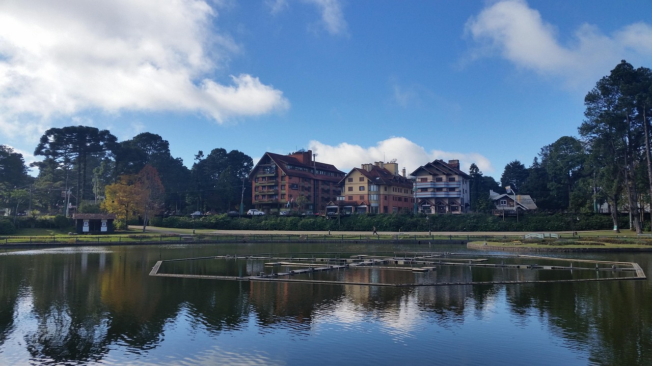 Produtor rural consultando preço do milho no app no Rio Grande do Sul