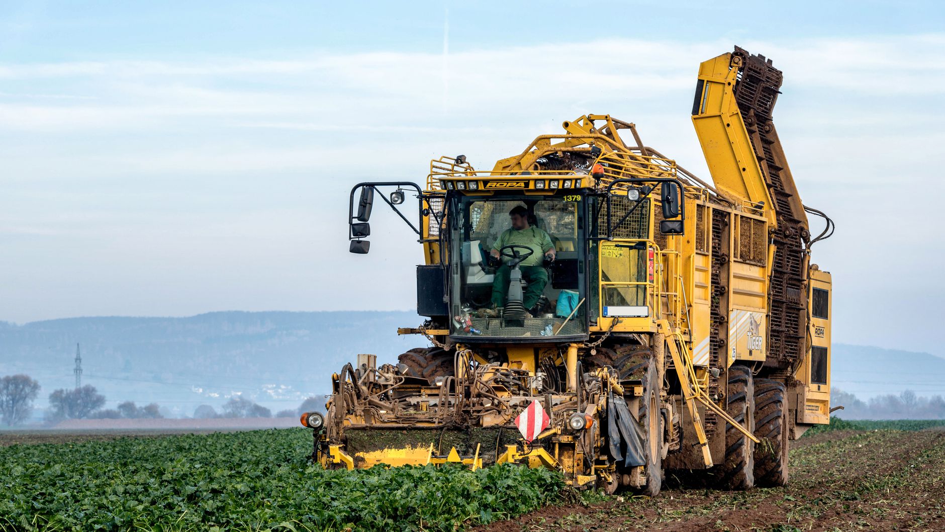 Produtor rural analisando dados de produção em tablet no campo