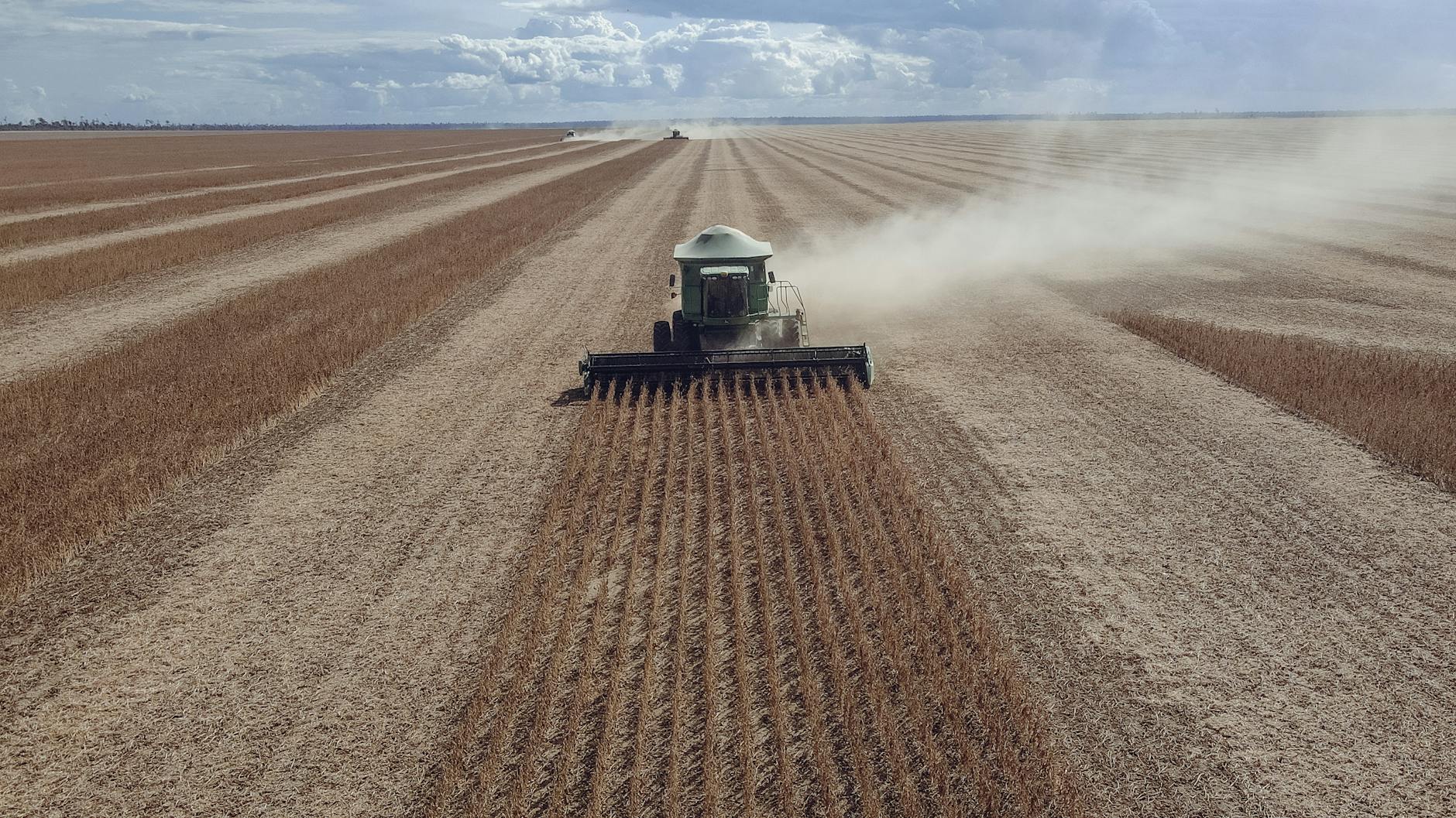 Campos de milho e soja em Mato Grosso, Brasil