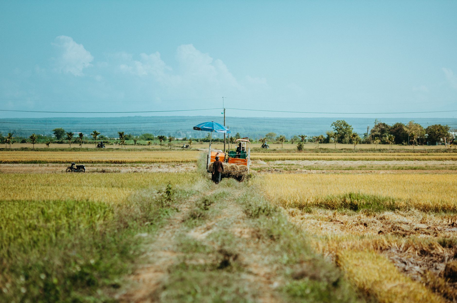 Produtor rural cadastrando oferta de arroz na plataforma eBarn