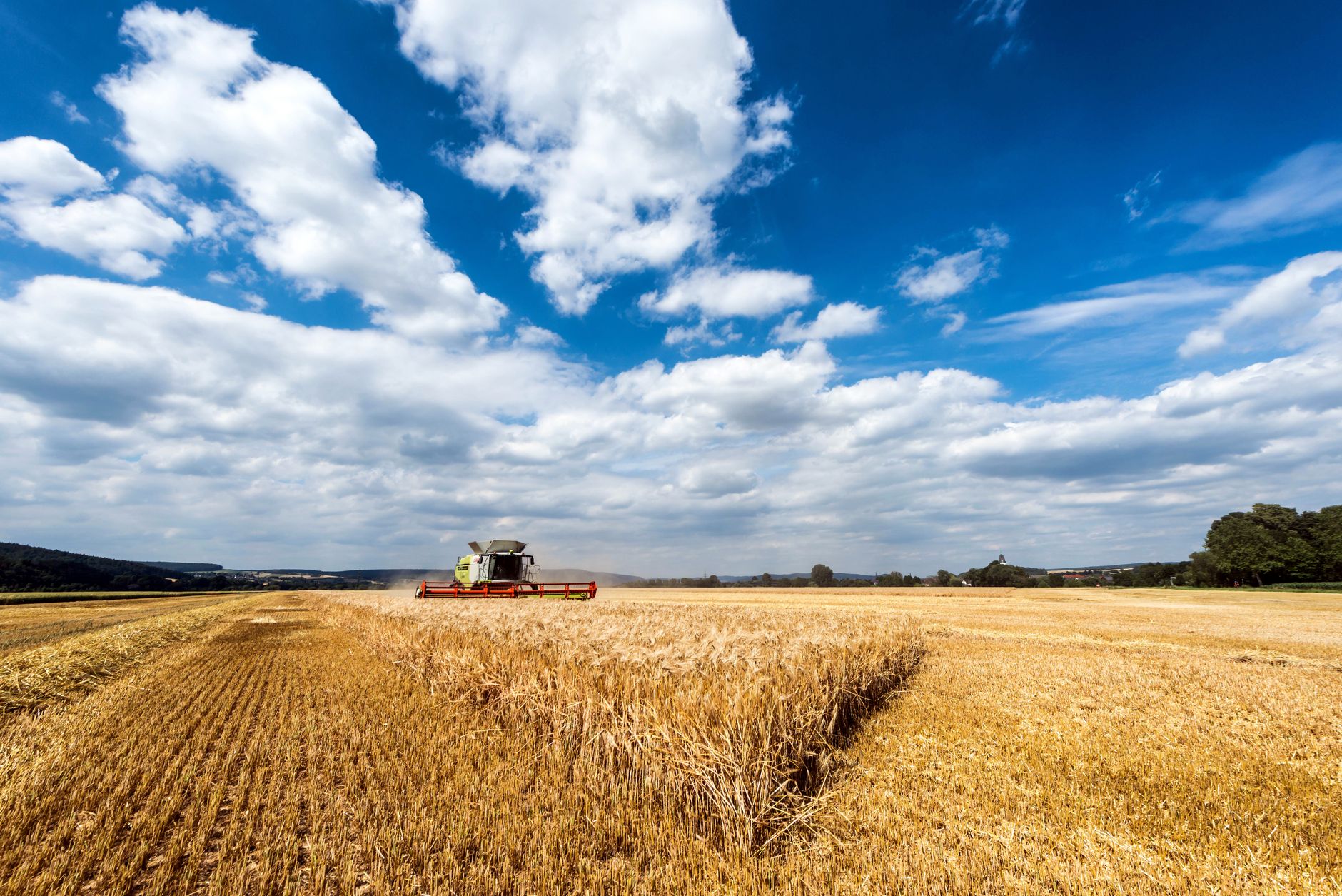 Gráfico de cotações de commodities agrícolas com destaques sazonais