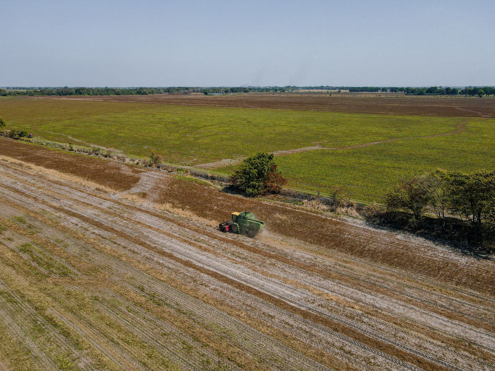 Colheita mecanizada de soja em lavoura goiana
