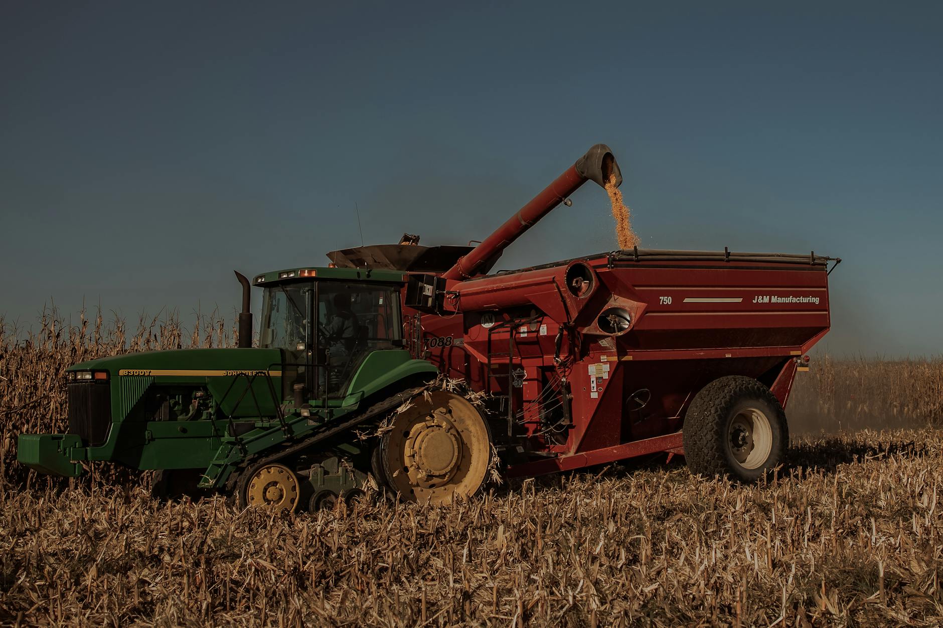 Colheita de milho safrinha em campo brasileiro