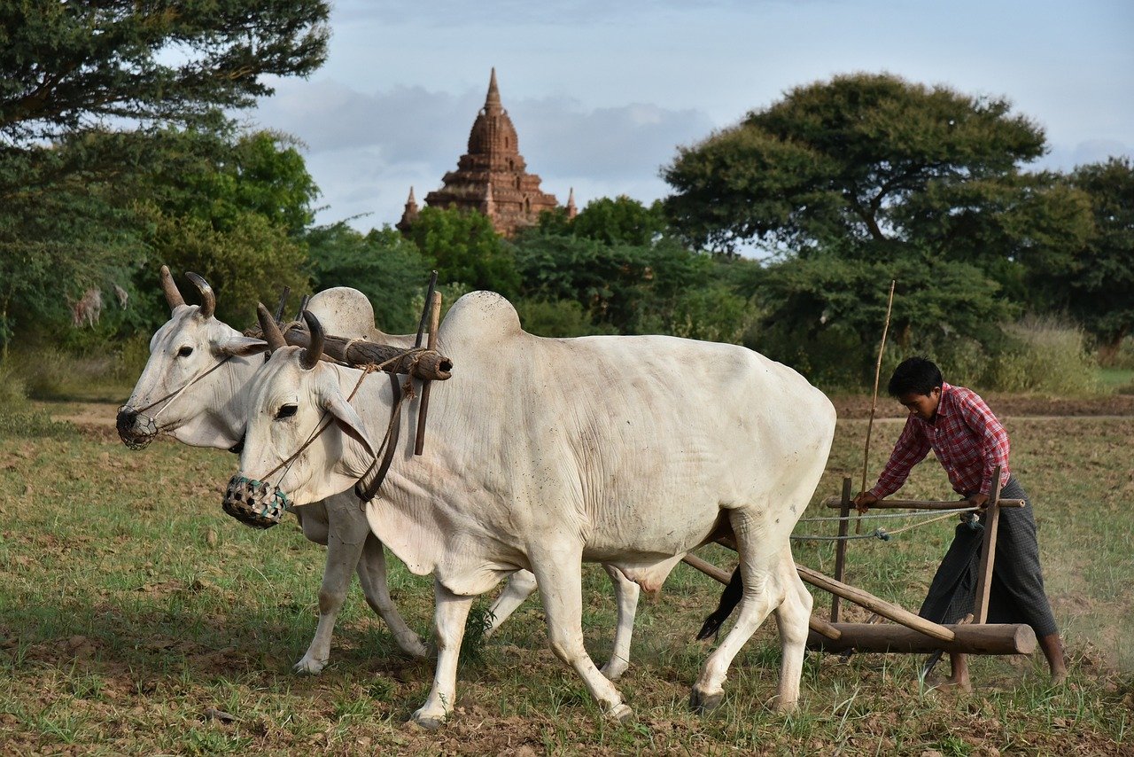 Produtores rurais assinando contrato em campo agrícola