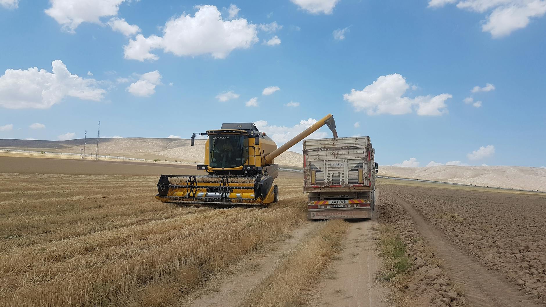 Colheita de trigo em campo de Goiás com caminhões