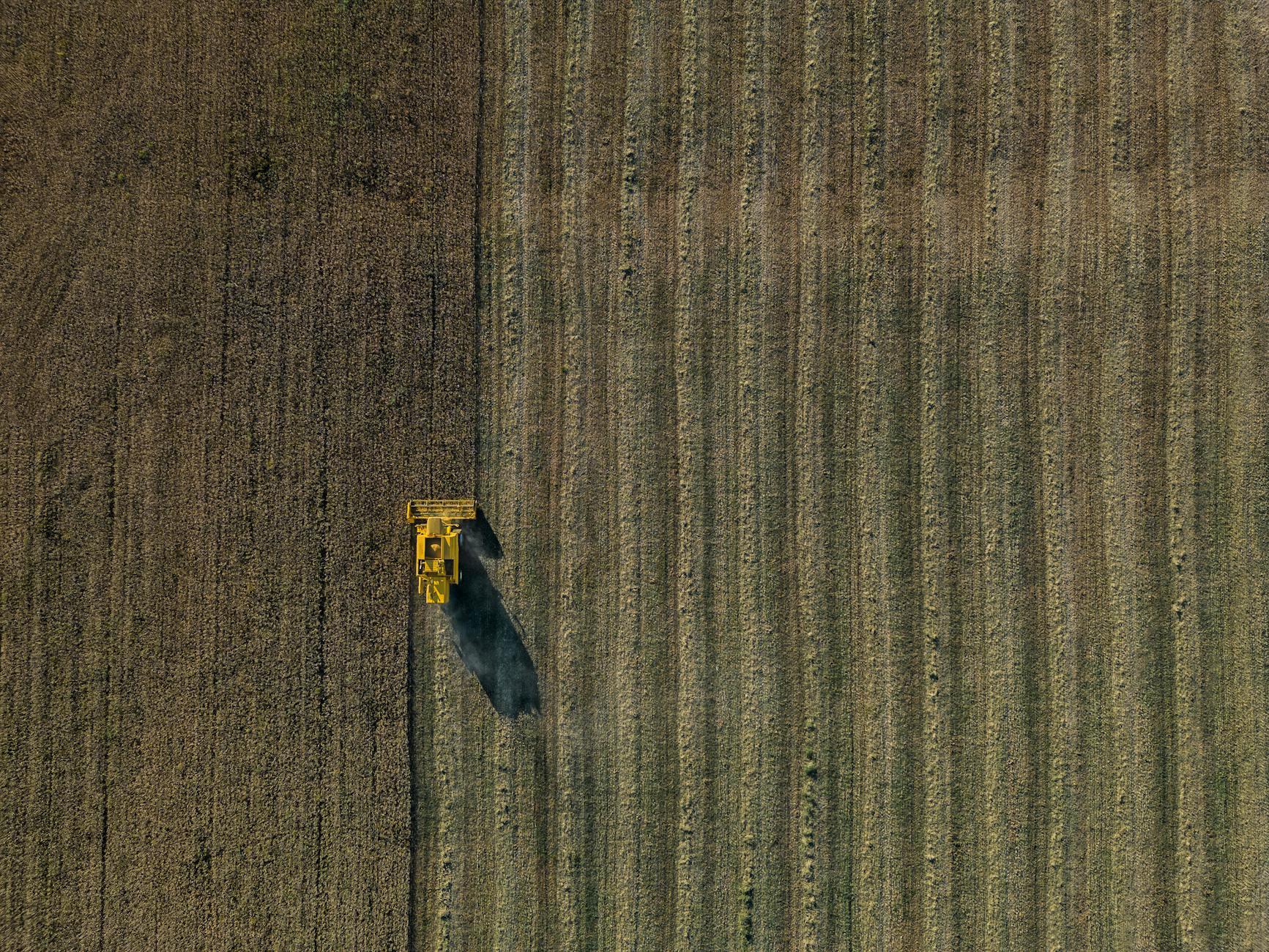 Colheita de sorgo em campo de Mato Grosso