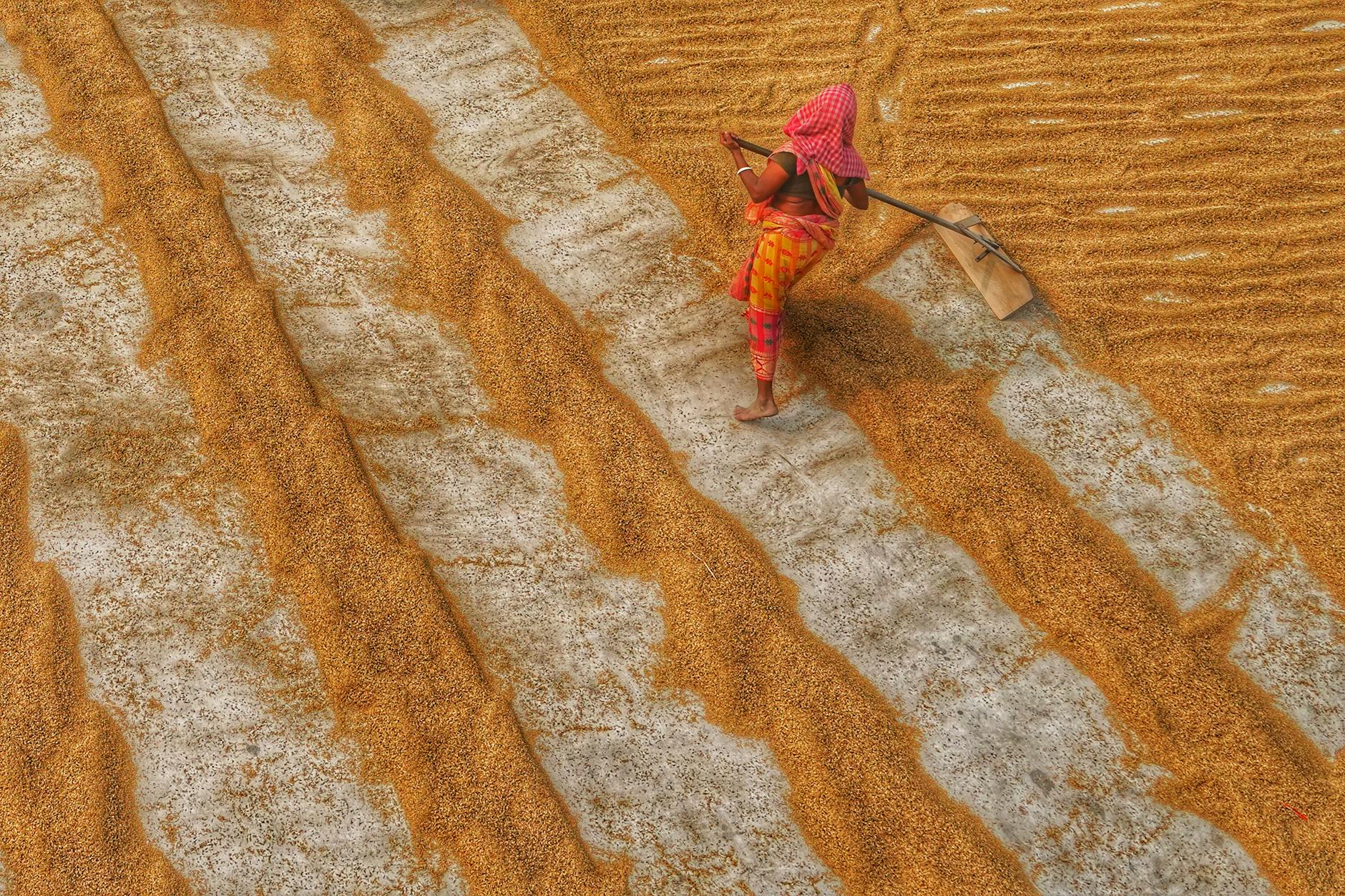 Como Verificar a Credibilidade de Compradores de Grãos no Agro