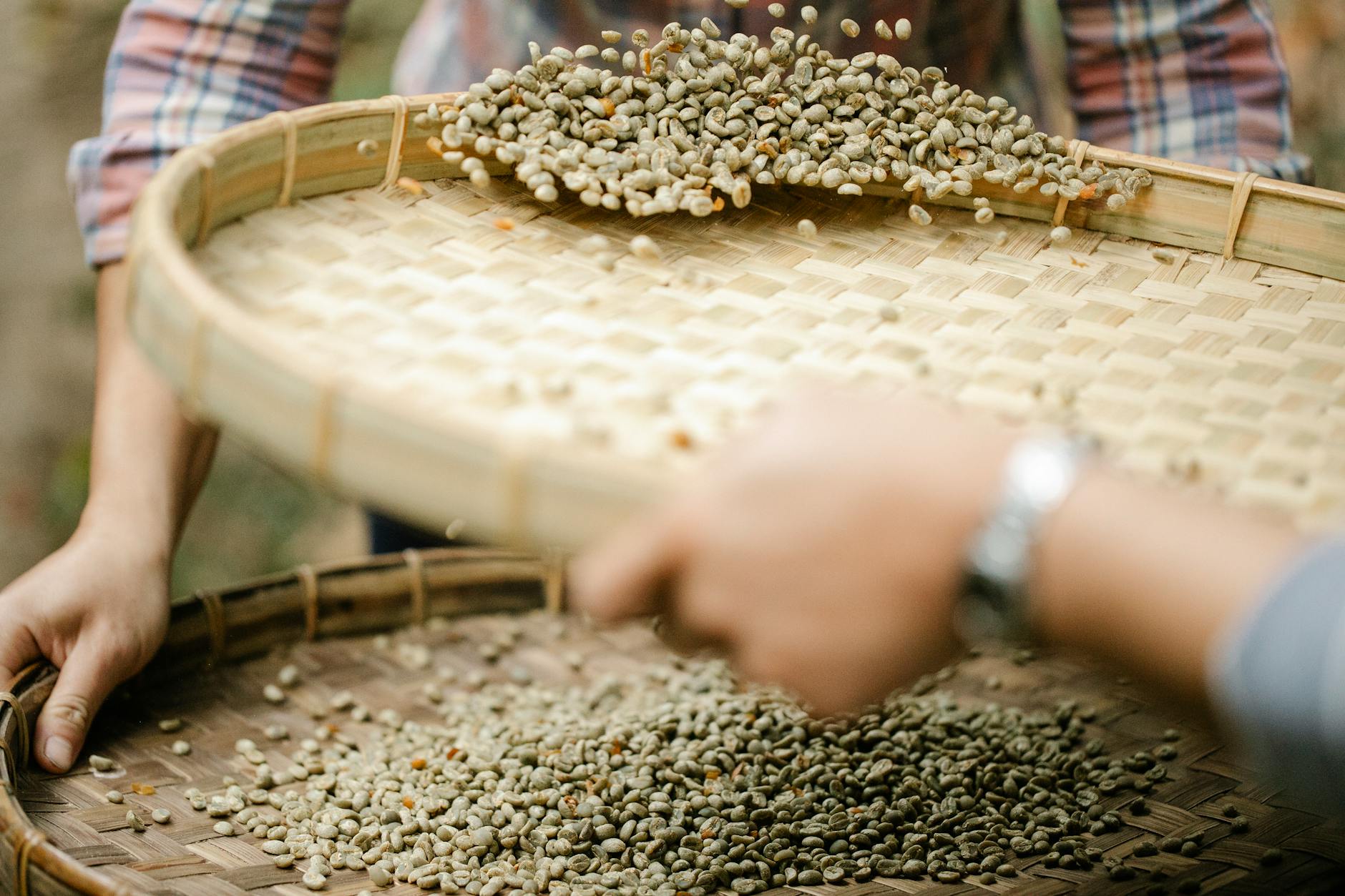 Como Vender Feijão Direto ao Comprador — Sem Intermediários