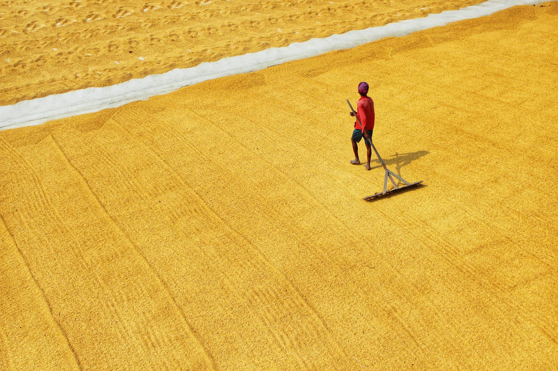 Como Usar o eBarn para Vender Sua Produção de Grãos
