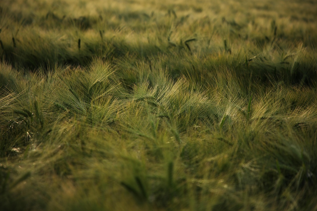 Produtor rural inspecionando danos em caminhão de grãos na estrada
