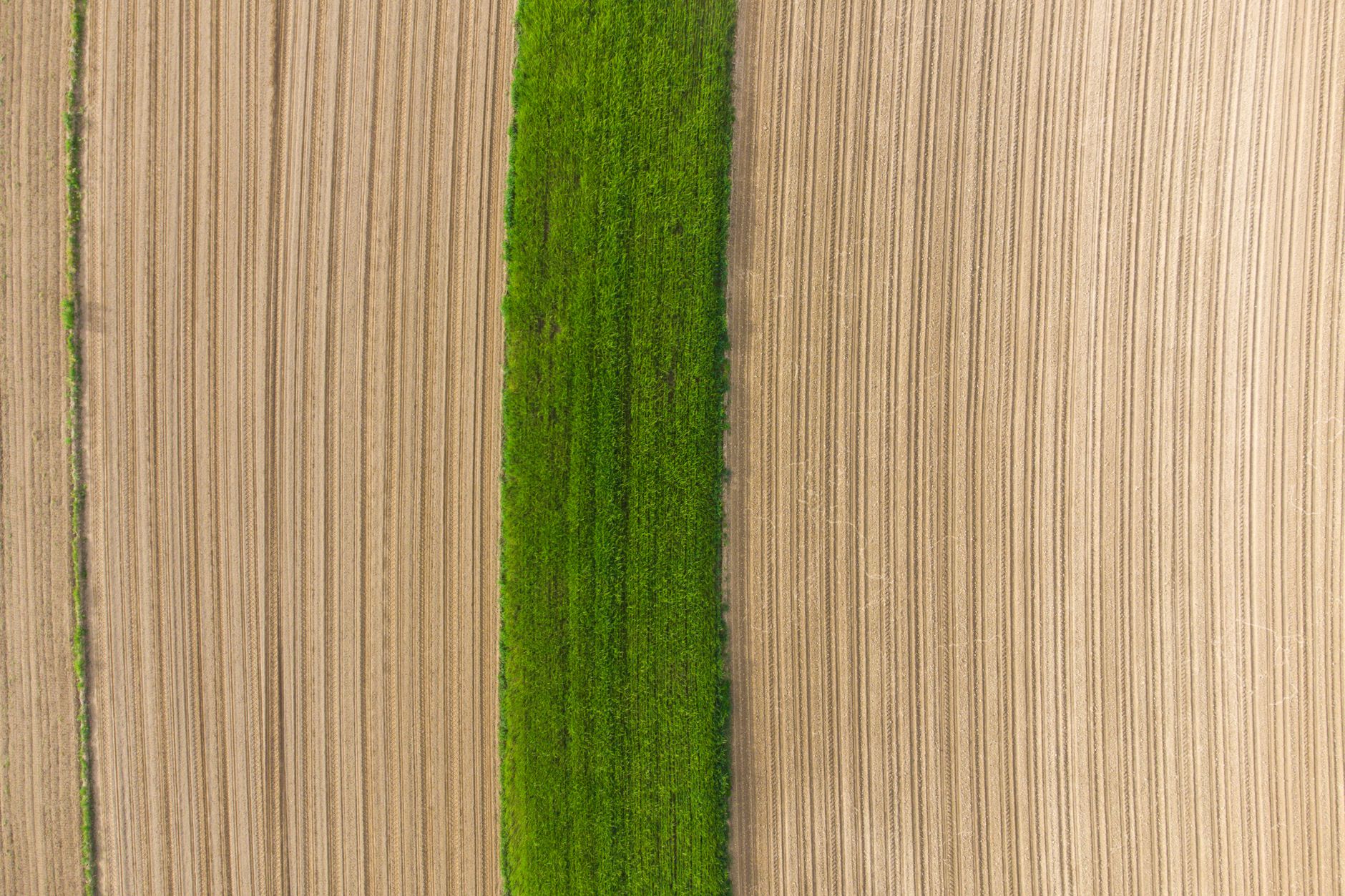 Assinatura digital de contrato agrícola em plataforma online