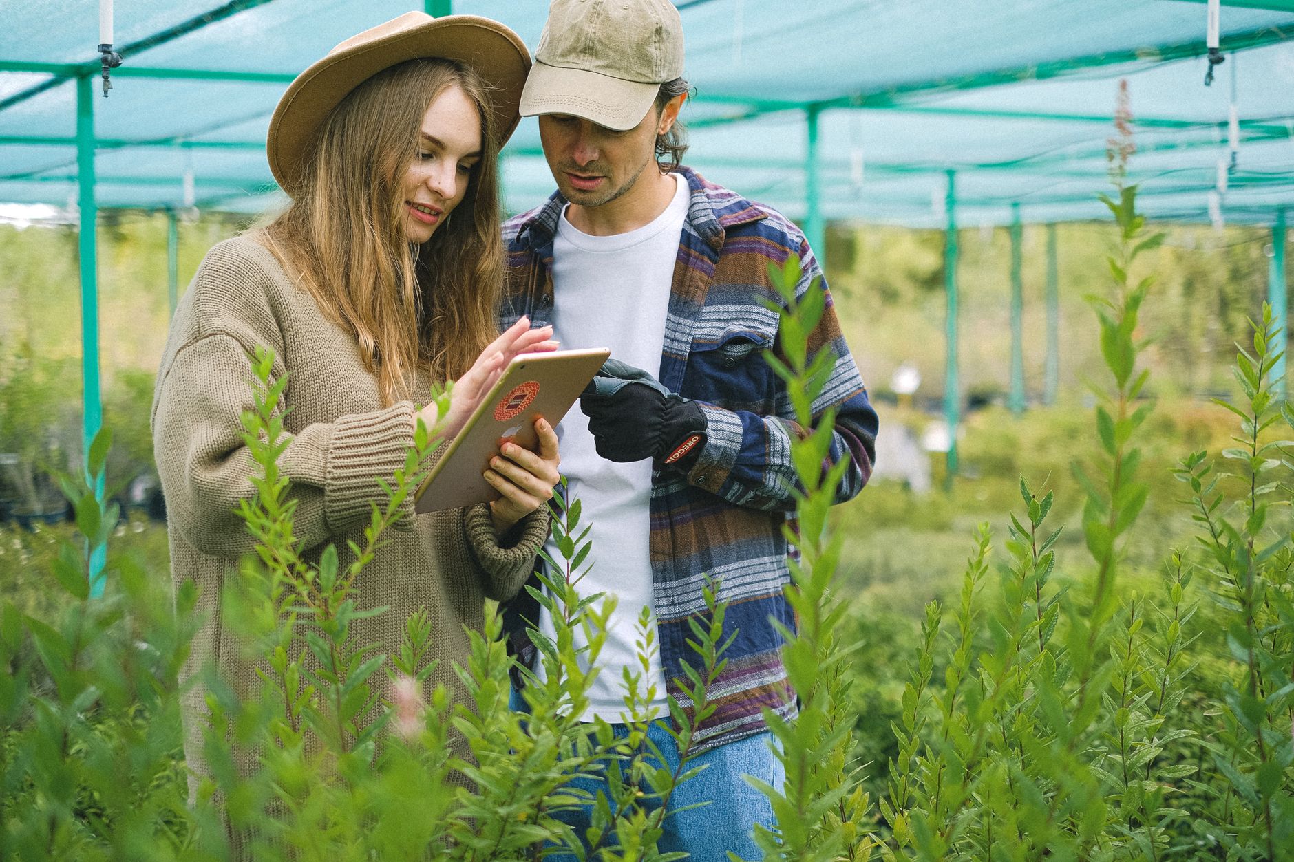 Young couple watching tablet while standing in middle of greenhouse with different lush plants