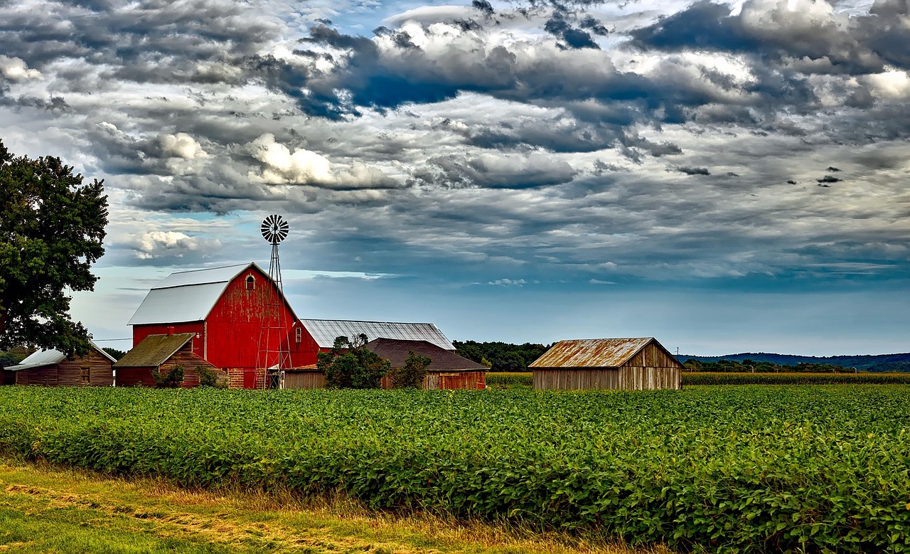 wisconsin, landscape, scenic, sky, clouds, barn, windmill, buildings, soybeans, field, crop, agriculture, nature, outdoors, country, countryside, rural, farm, hdr, wisconsin, wisconsin, wisconsin, barn, barn, barn, barn, barn