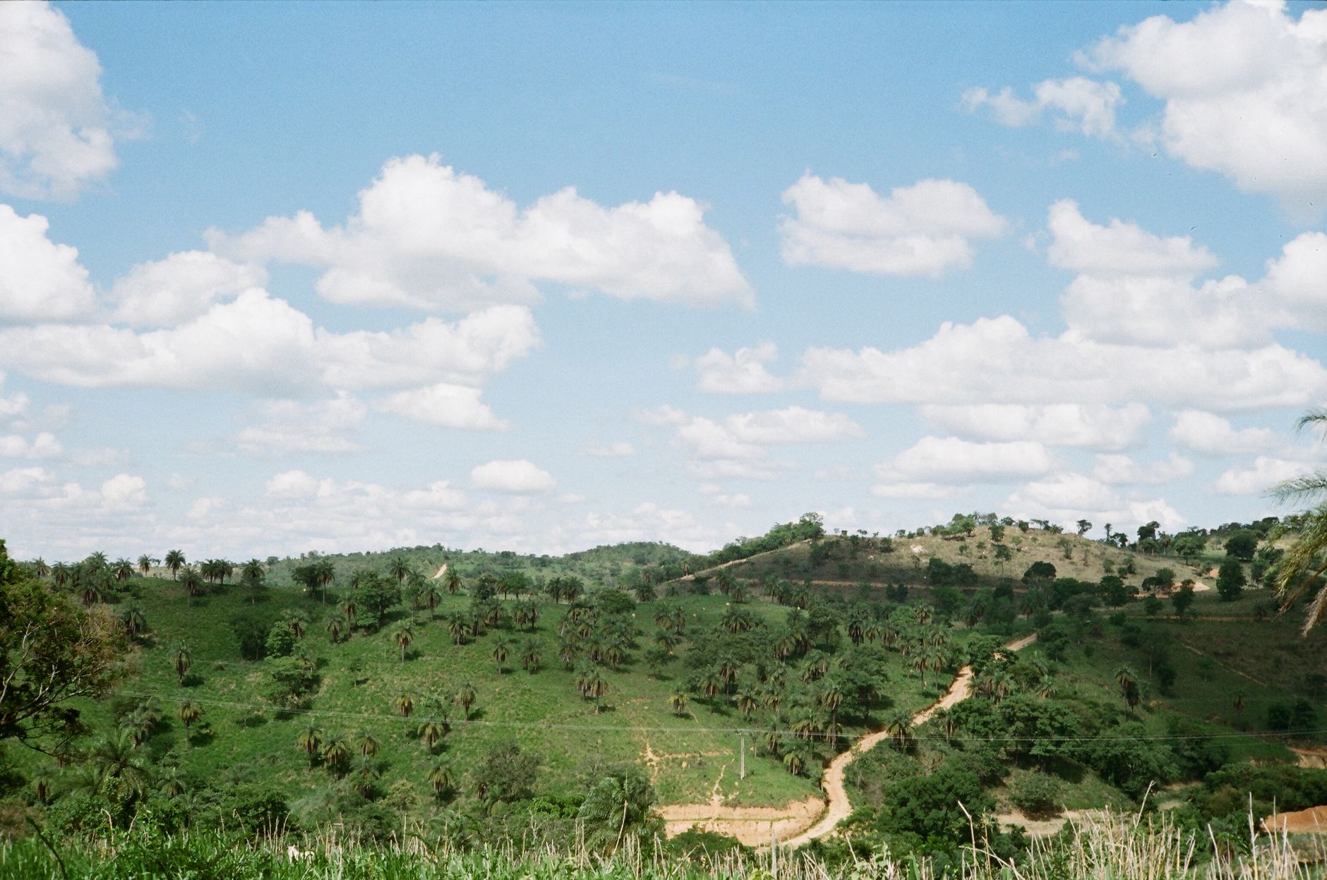Beautiful landscape of green hills with scattered trees under a partly cloudy blue sky.