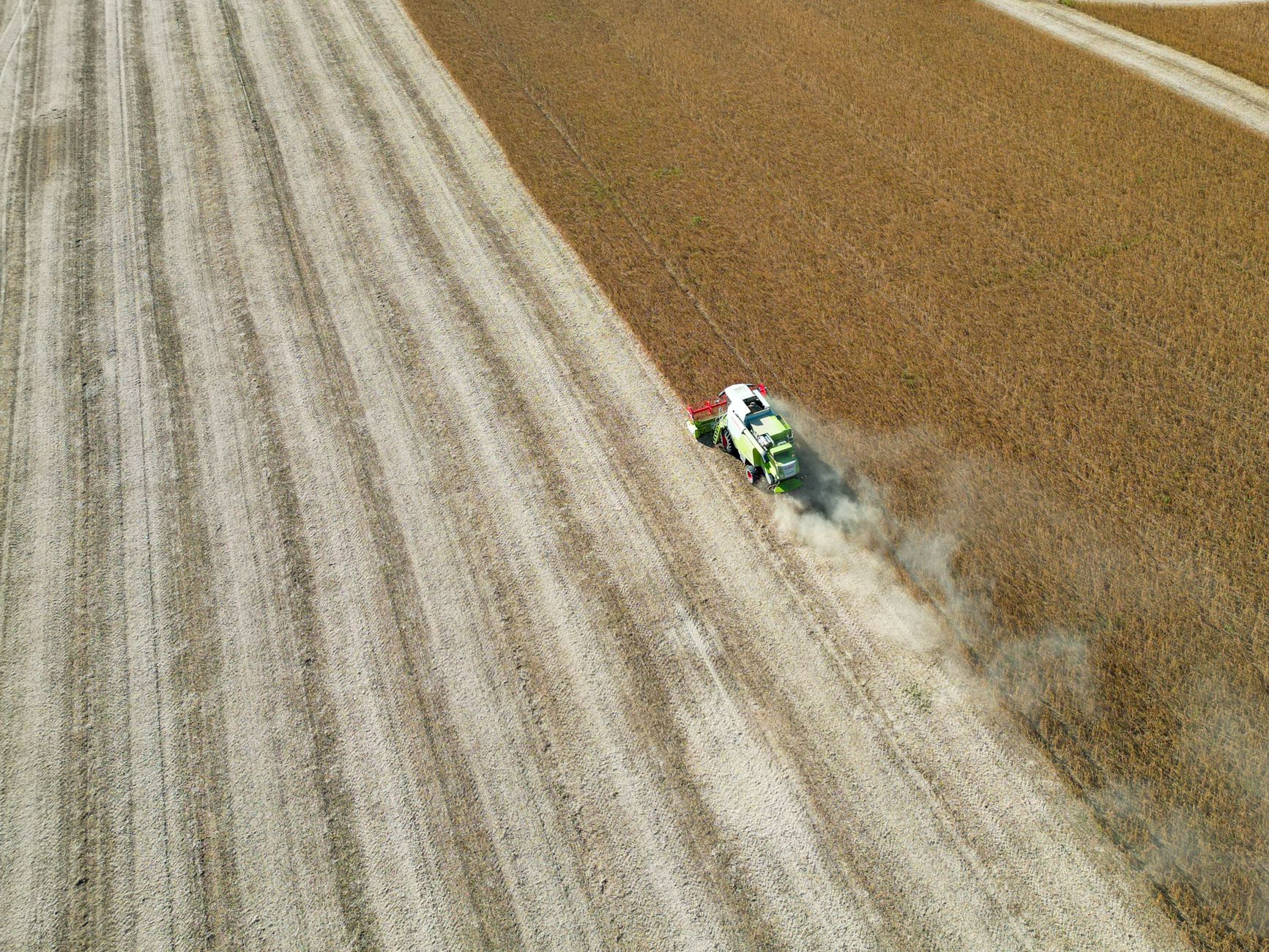 Drone shot of a combine harvester in a Croatian field during harvest season.