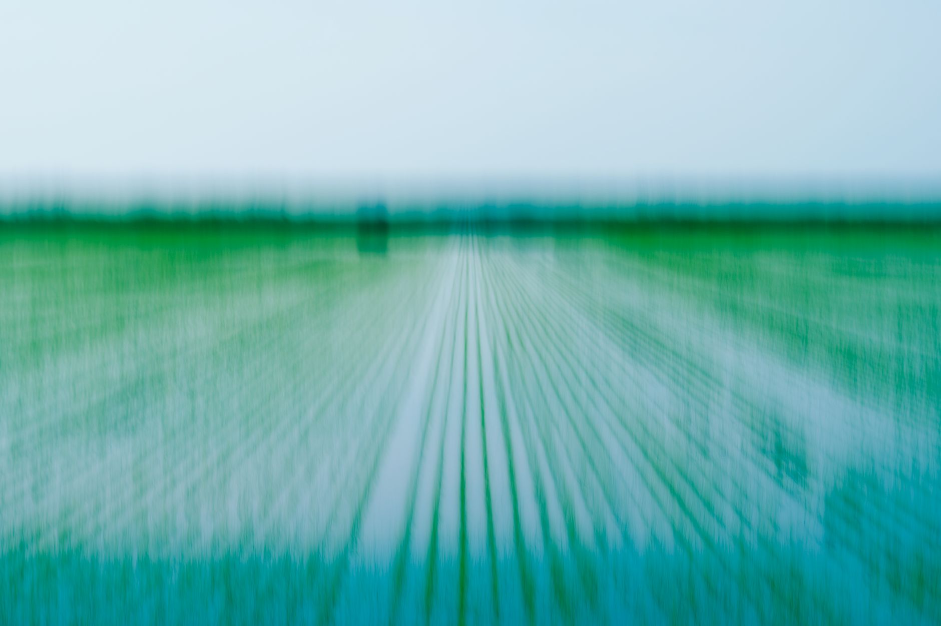 Ethereal view of a green rice field with blurred lines creating a dreamy landscape.