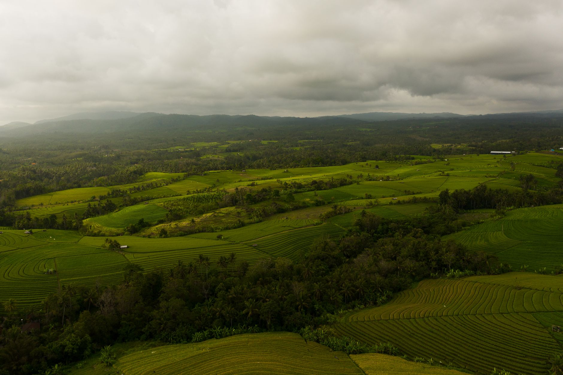 A scenic aerial view of sprawling farmlands under a cloudy sky featuring lush greenery and rolling hills.
