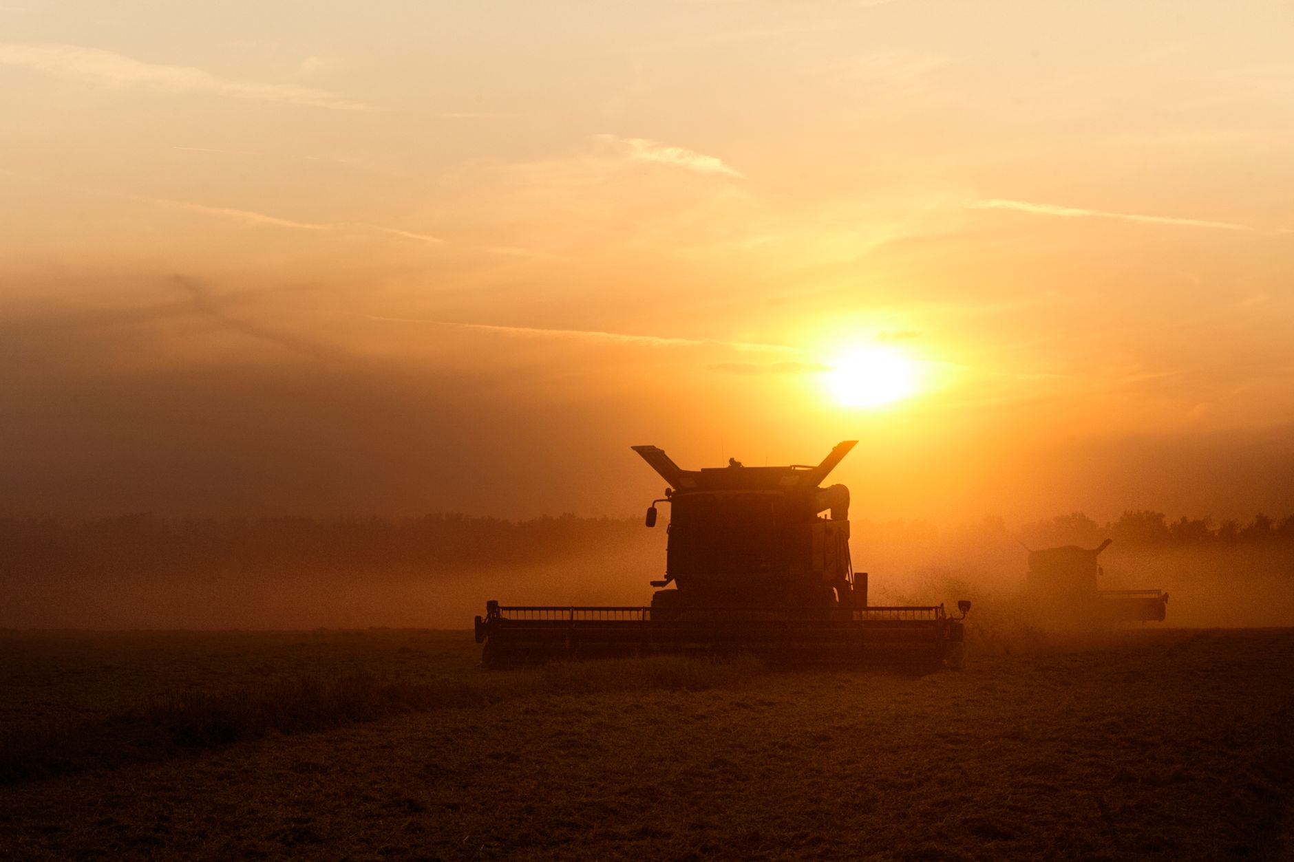 Silhouette of a combine harvester working at sunset during harvest season in Chaplygin, Russia.