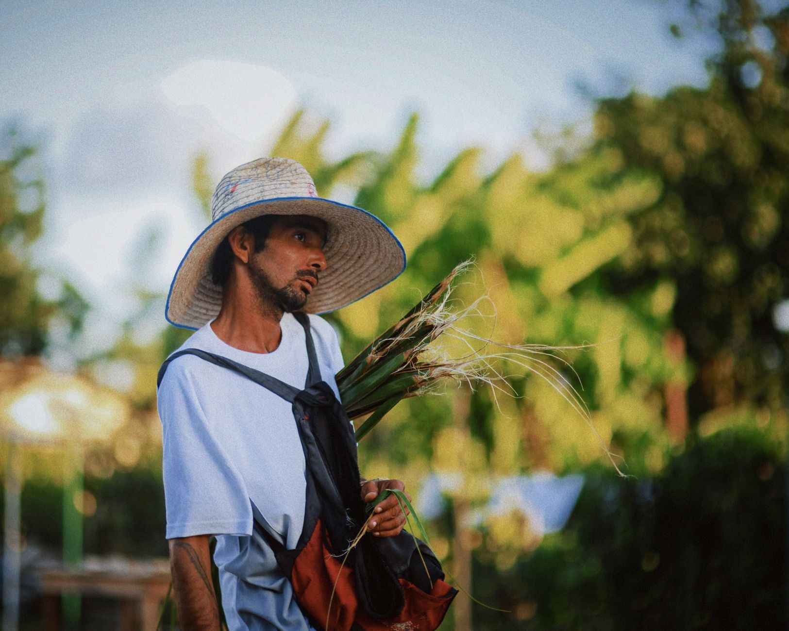 Man wearing a straw hat holds freshly harvested plants, standing in a lush green field.