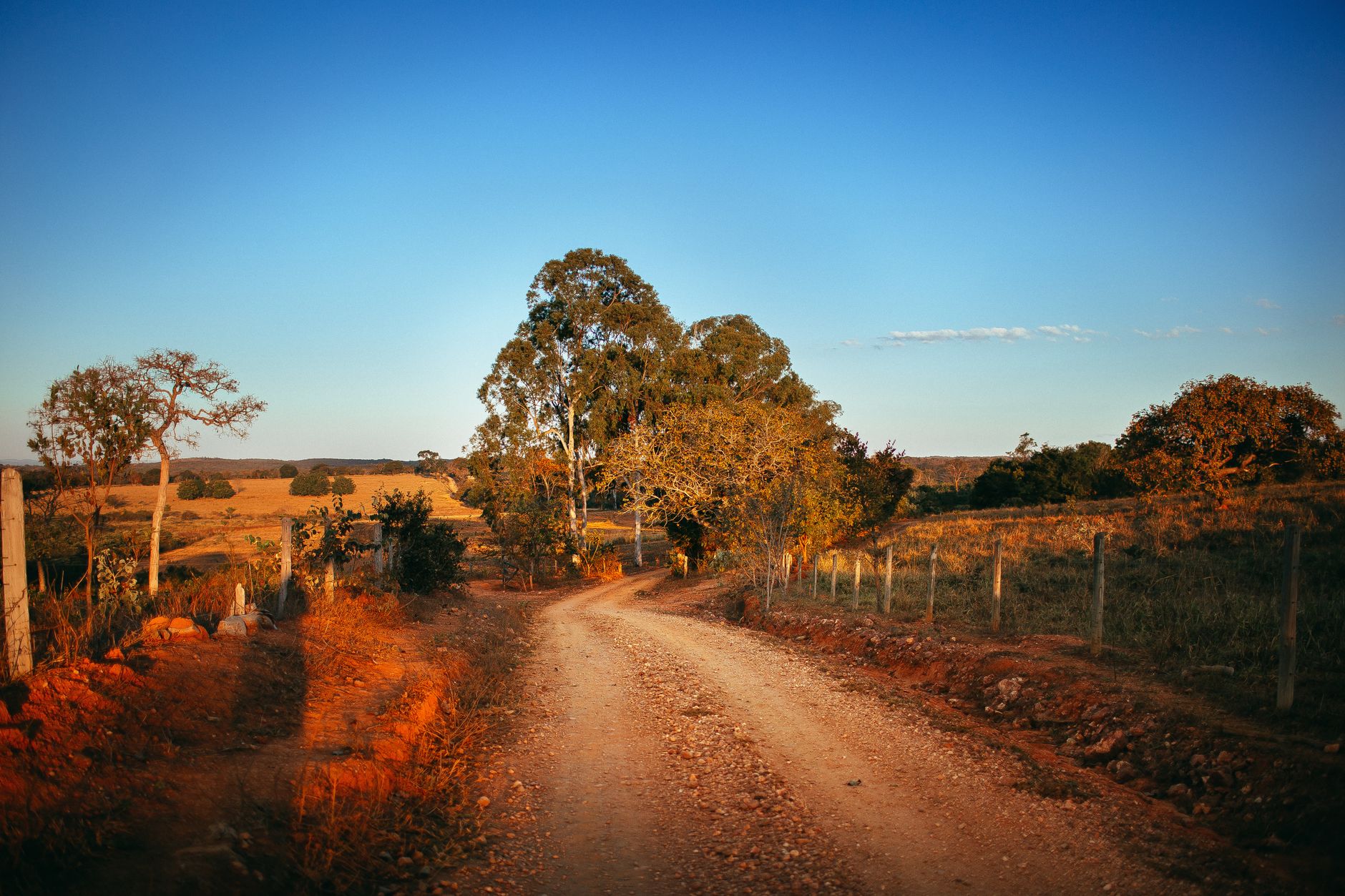 Idyllic rural dirt road at sunset in Curvelo, Brazil, showcasing serene countryside scenery.