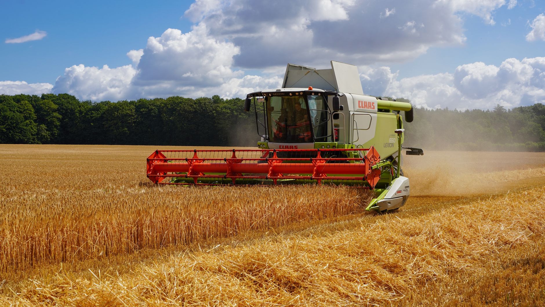 A modern combine harvester at work in a wheat field, Lauenburg, Germany, during summer.