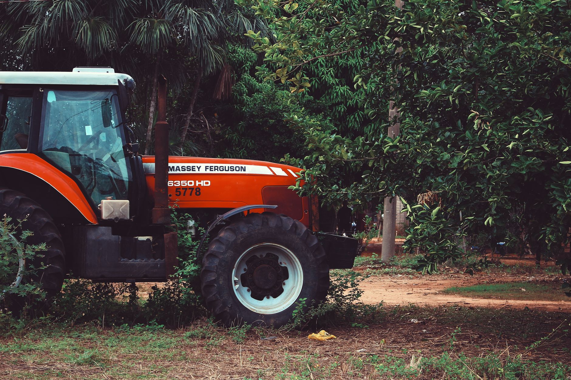 A vibrant red tractor parked in a dense green forest captures rural agricultural life.