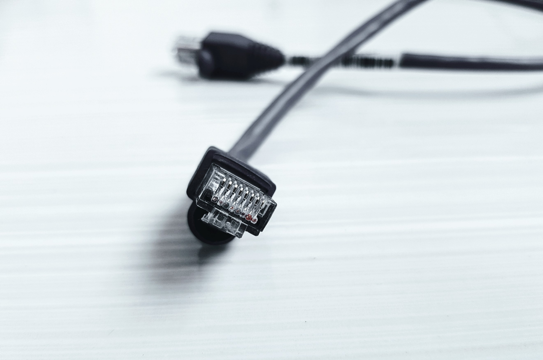 Detailed image of a black ethernet cable with RJ-45 connector on a white surface.
