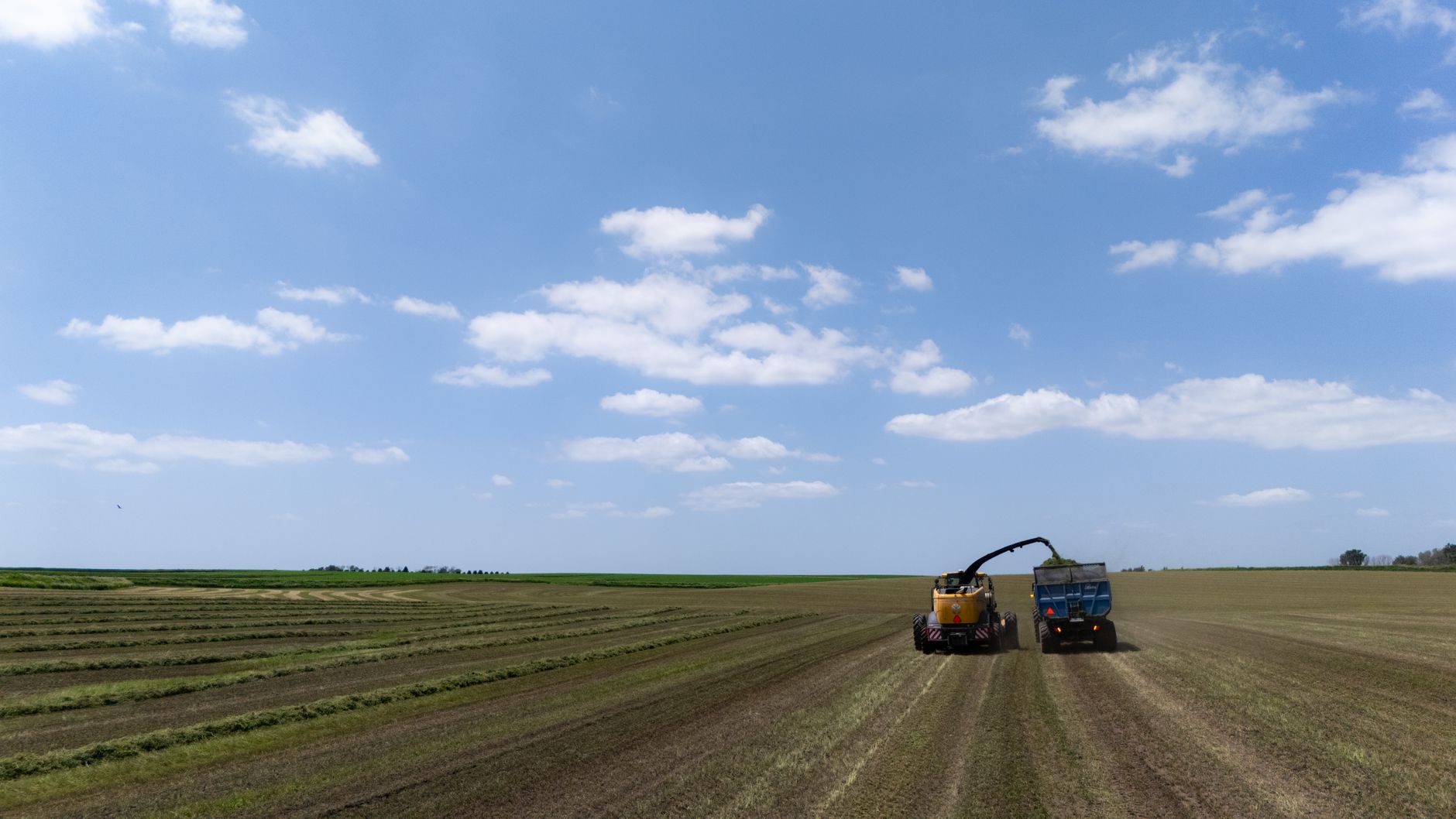 Aerial view of a tractor harvesting silage in a large field under a clear blue sky.