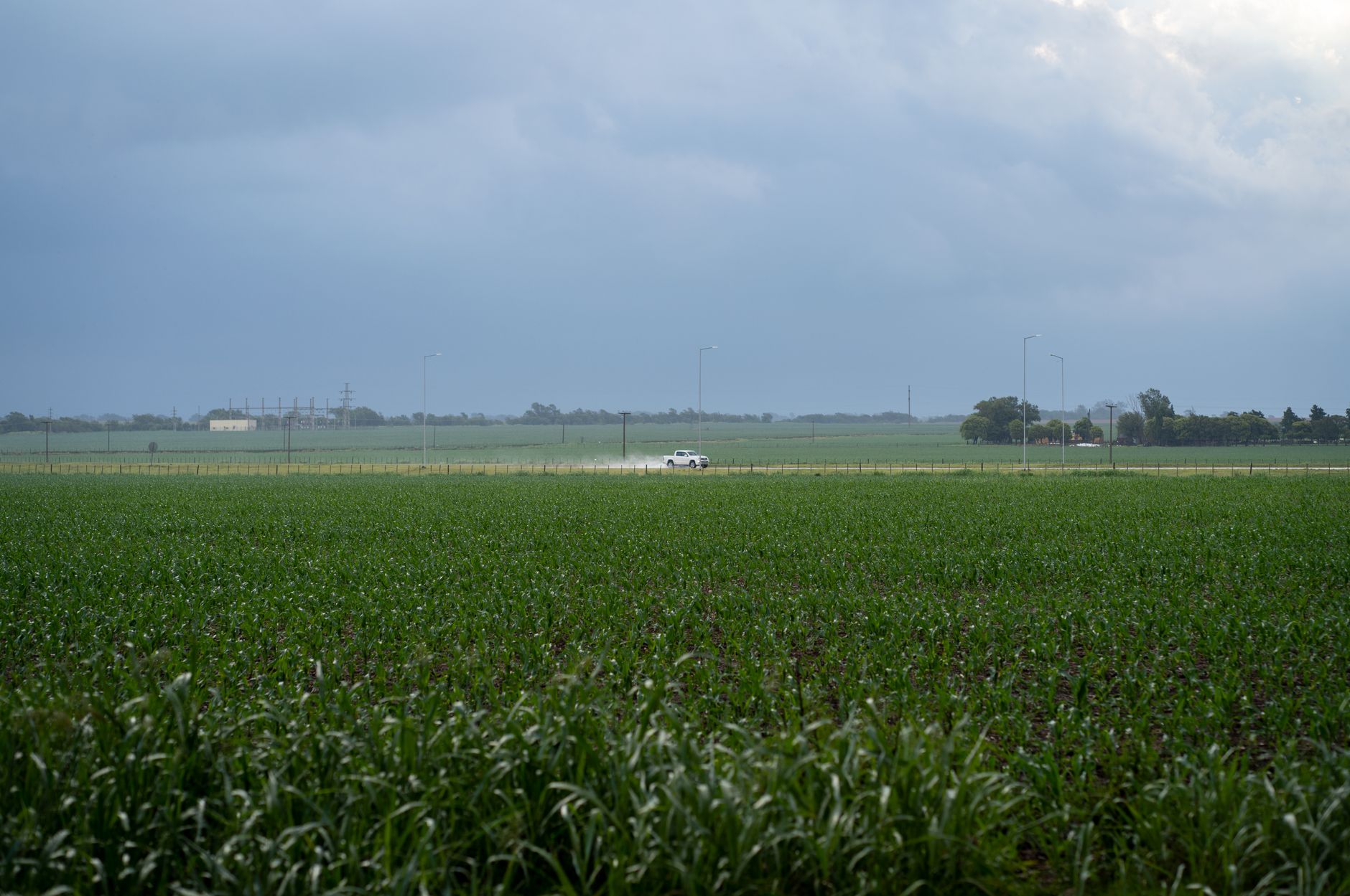 A vast green cornfield with a car on a distant road under cloudy skies in Elena, Córdoba, Argentina.
