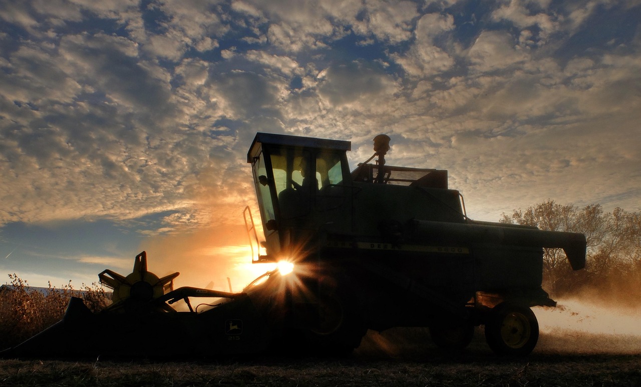 combine, soybean harvest, sunset, agriculture, soybean, field, machinery, harvester, harvest, farming, autumn, rural, season, fall, agronomy, nature, farm, agricultural, working, crop, plant, food, cereal, landscape, cultivated, organic, machine, yellow, golden, clouds, blue, equipment, work, countryside, harvesting, growth, grow, rows, land, scene, reaping