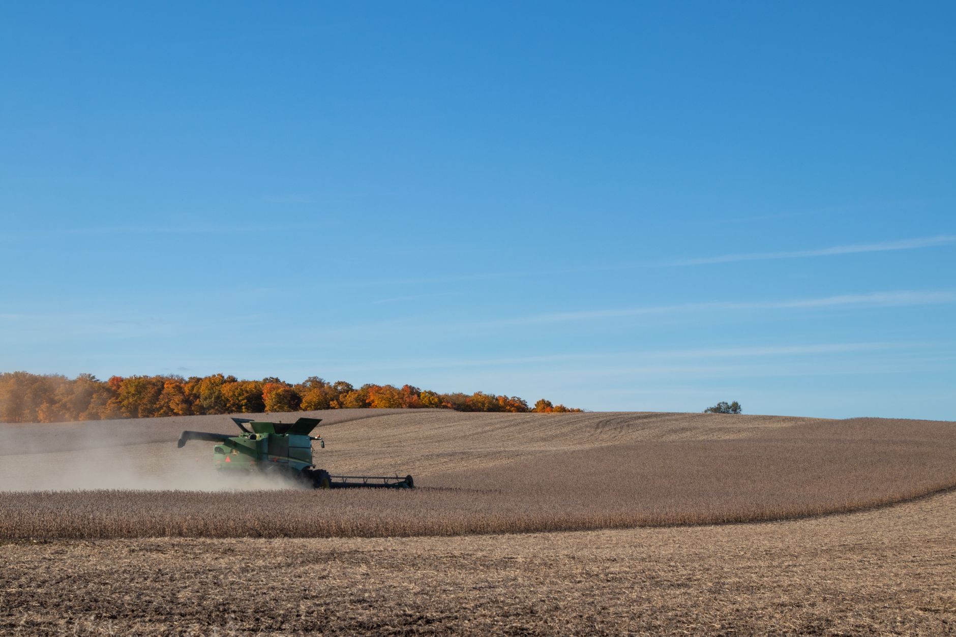 Combine harvester working in an autumn soybean field under a clear blue sky.