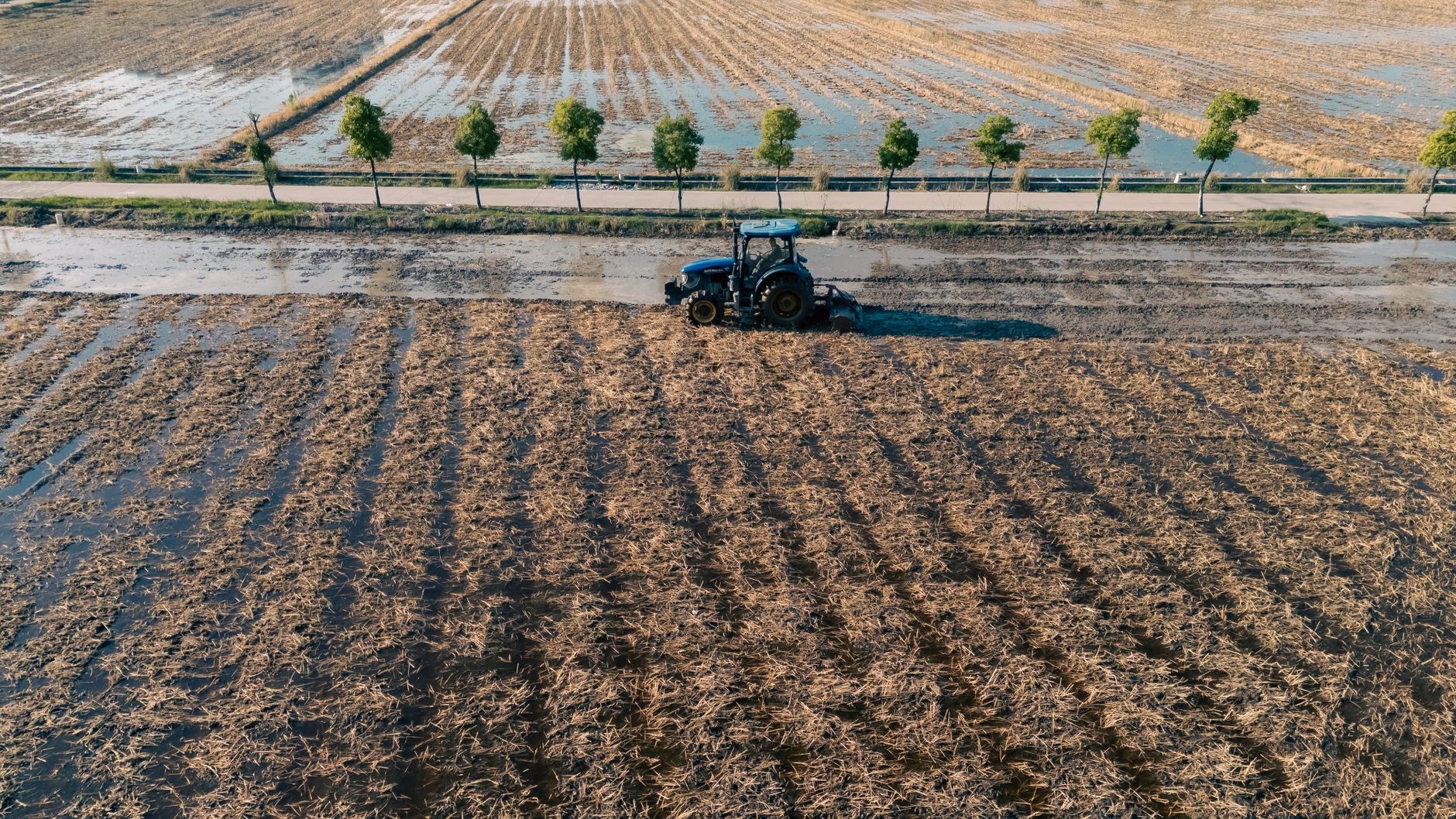 A tractor plows a rice paddy field in Hangzhou, Zhejiang, showcasing modern agriculture techniques.