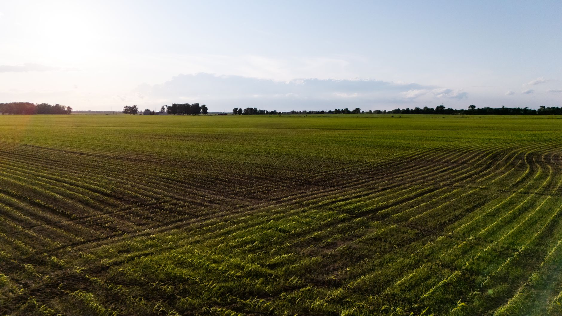 A wide aerial shot of agricultural field rows under the setting sun, showcasing lush farmland.