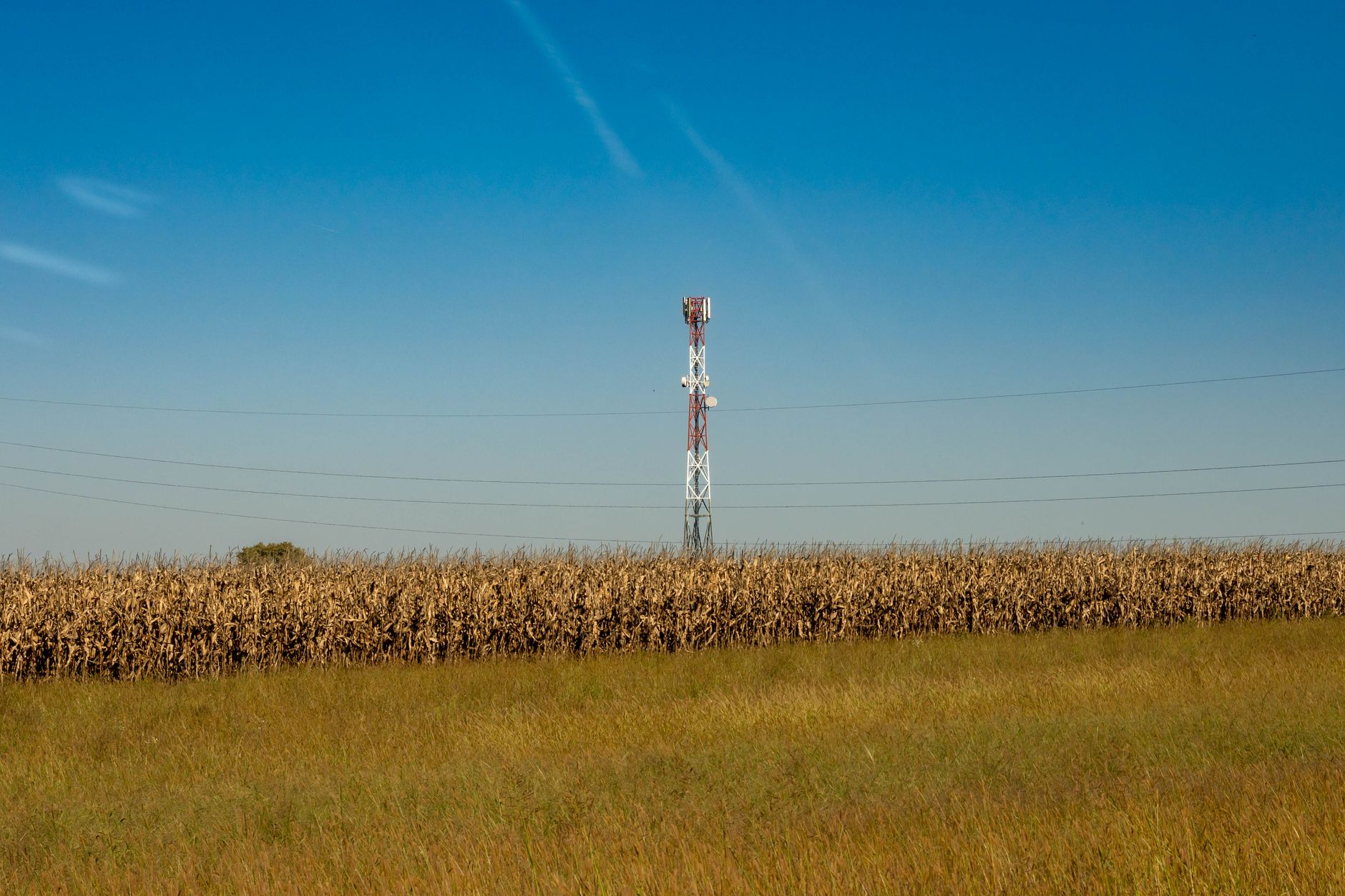A communication tower in a rural field with a clear blue sky.