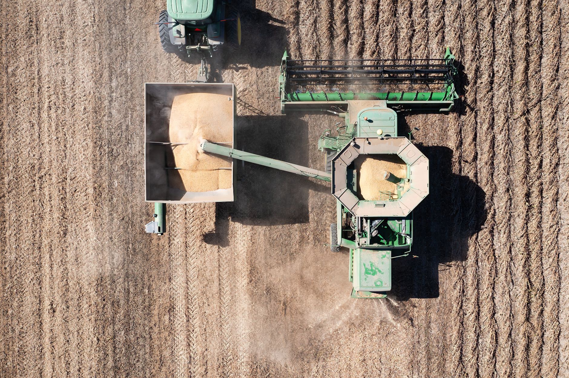 Aerial view of tractors harvesting wheat in a Minnesota field.