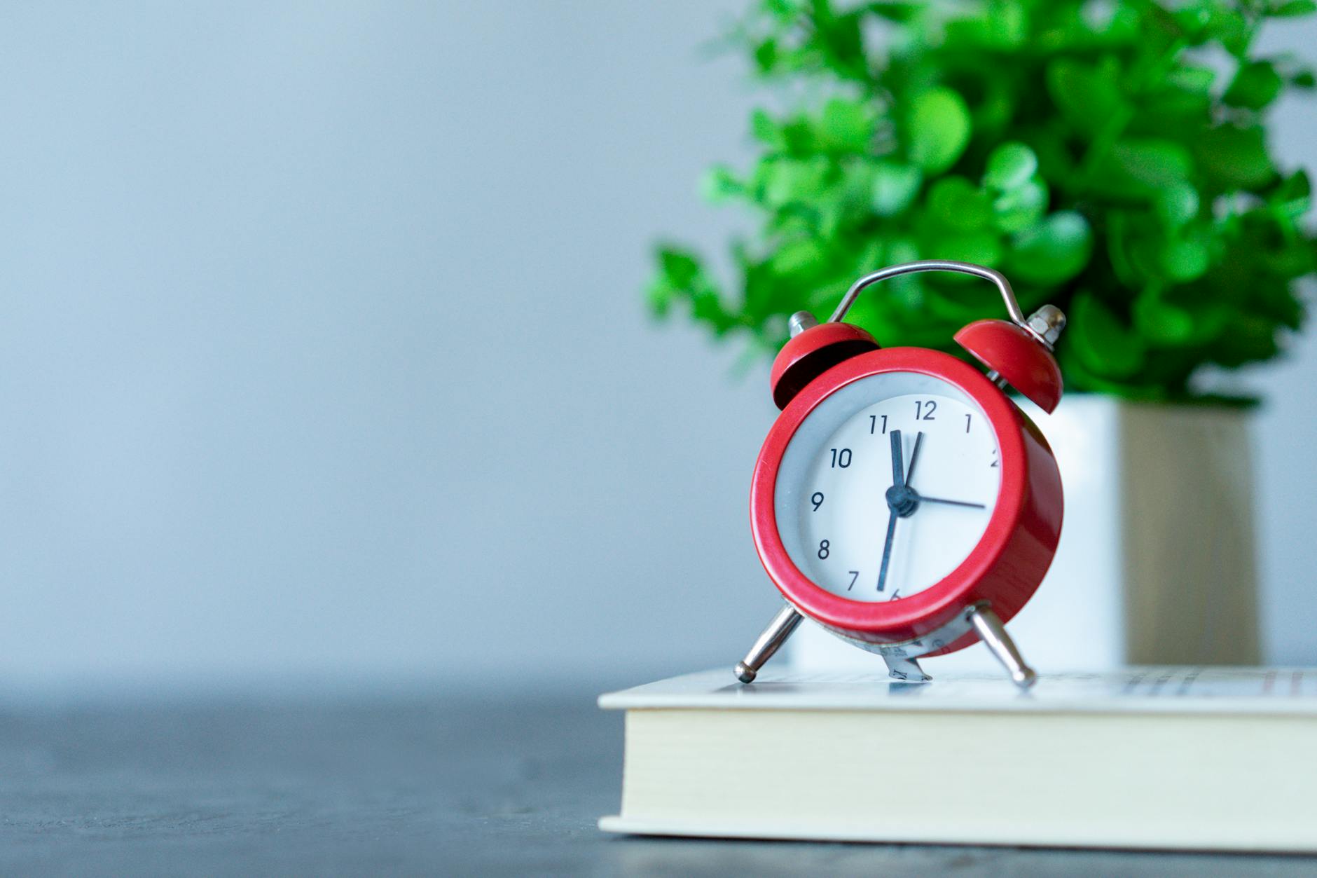 Image of a red alarm clock on a book with a green plant in the background.