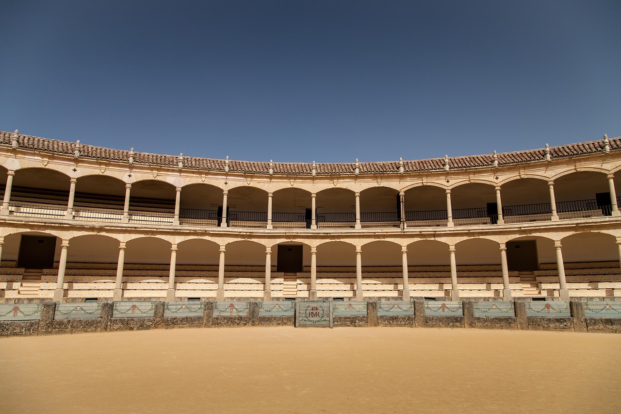 bullfight, corrida, arena, spain, bullfighter, bullfighting, spanish, torero, matador, entertainment, sport, culture, stadium, brown sports, brown culture, arena, arena, arena, arena, arena