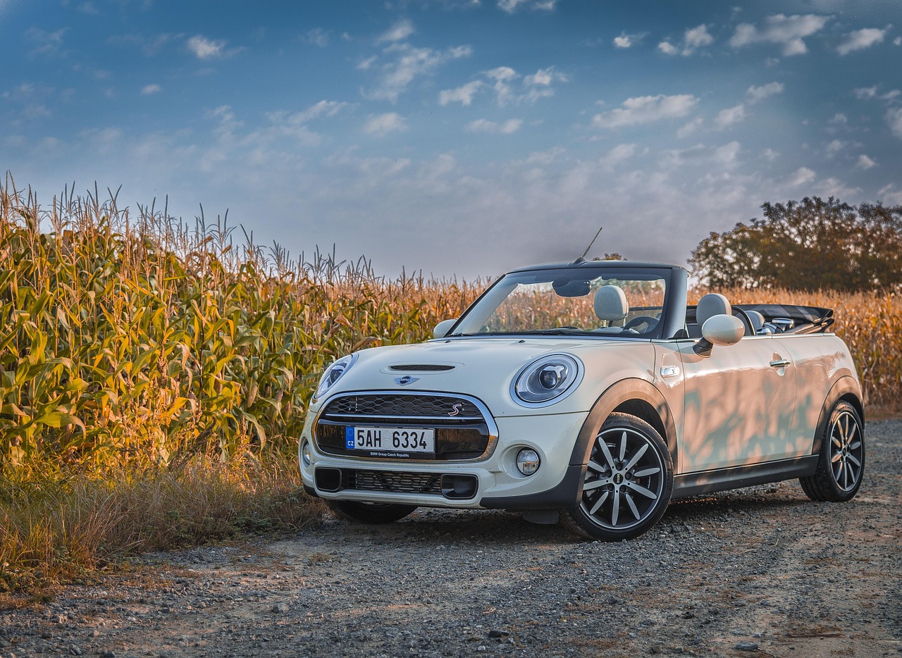 mini, convertible, minicooper, filed, car wallpapers, lateral ountry, car
