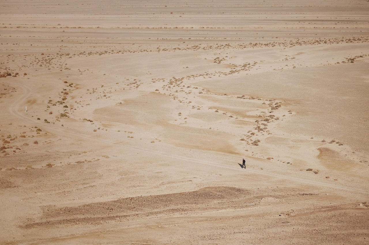 man, desert, walk, lonely, immense, hot, minimalism, nature, 5 plus english, tran thang nhat