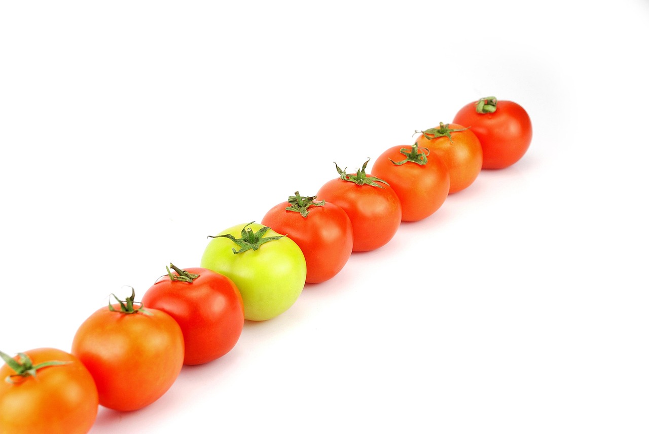 que, tomato, food, vegetable, green, red, white background, concept, que, que, que, que, que