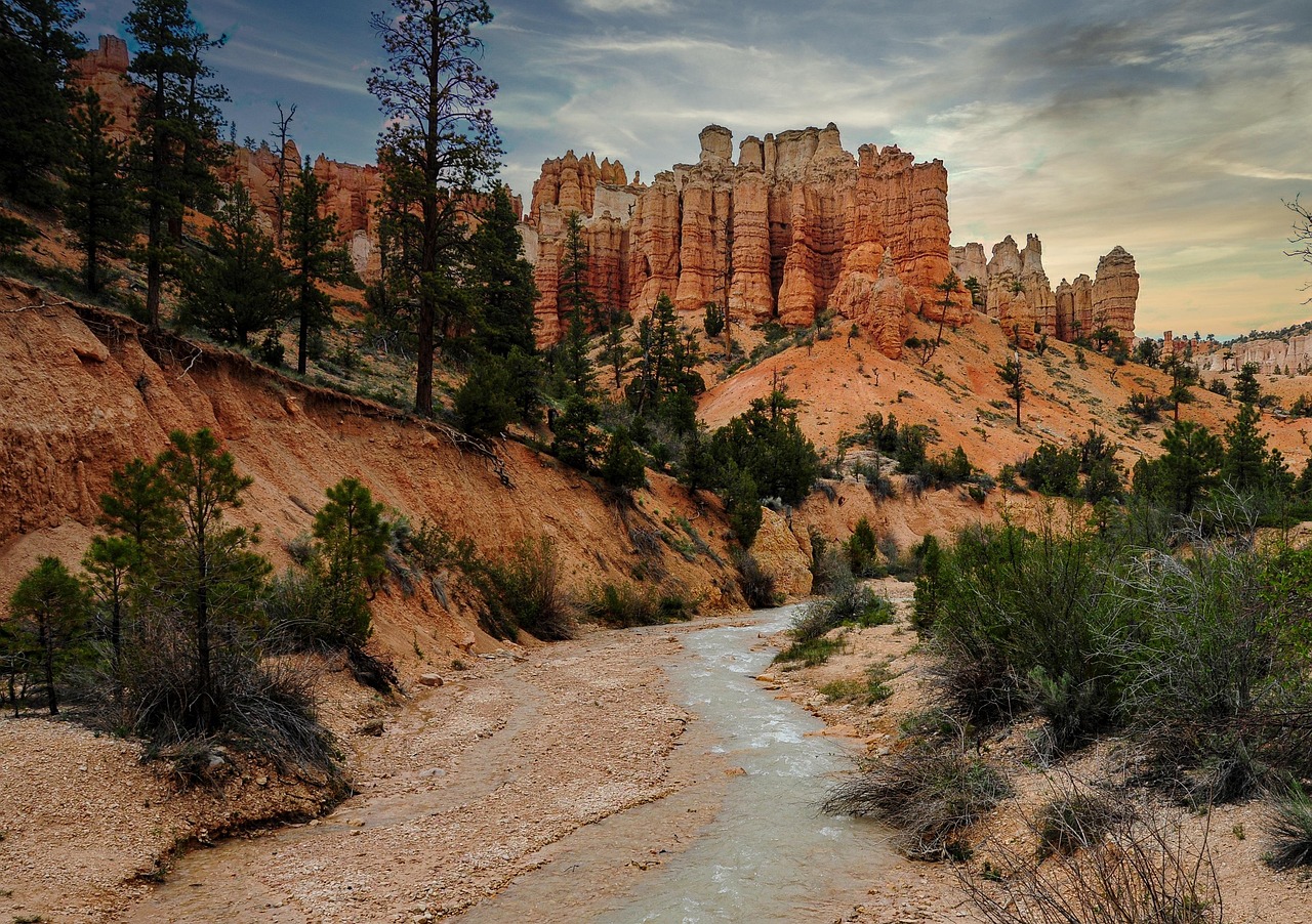 rocks, the cave, cliff, mossy, vs, usa, landscape, panorama, west, nature, formation, water